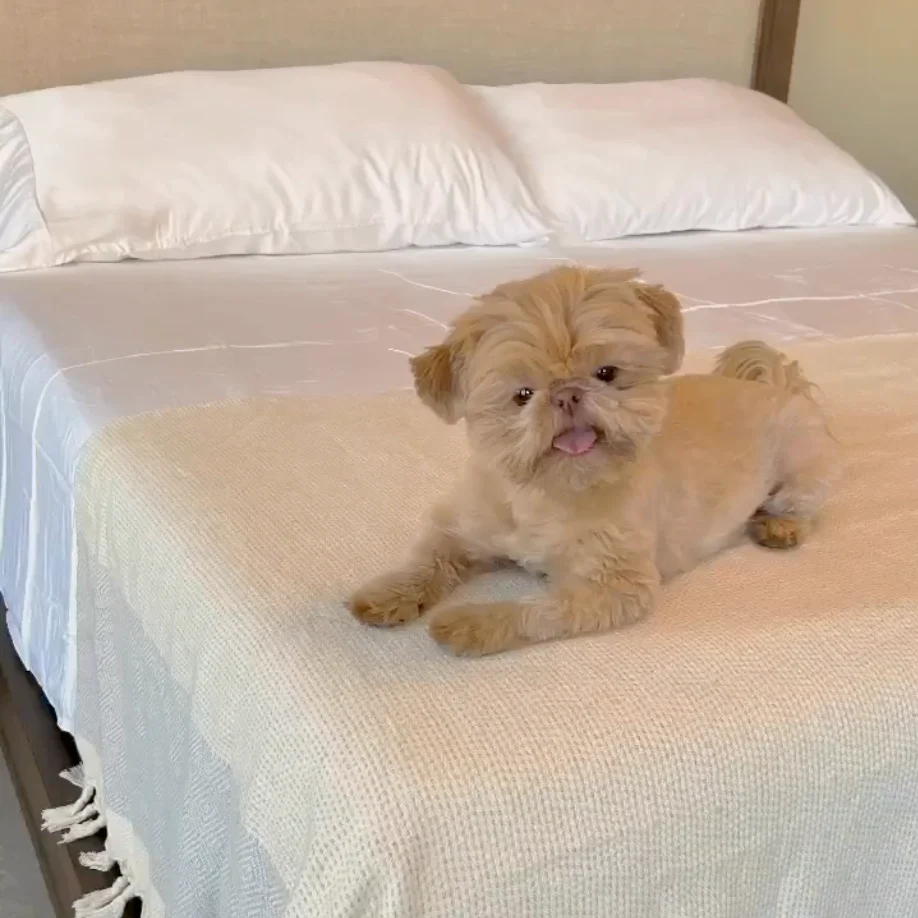 Love These Sheets