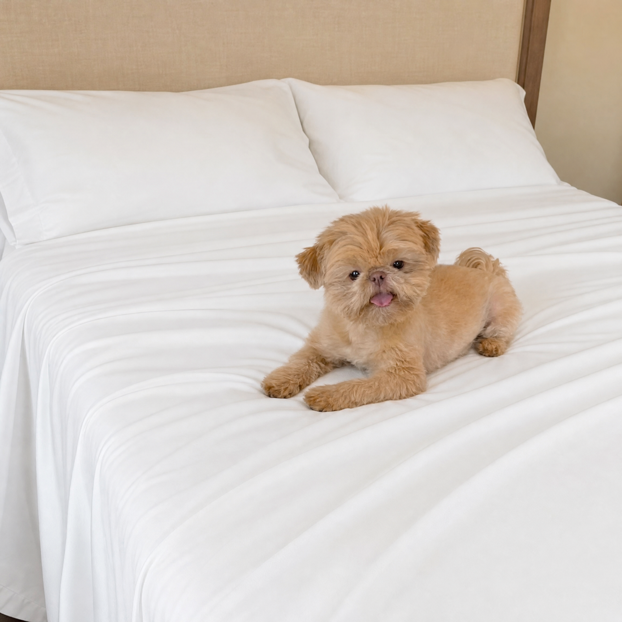 Love These Sheets