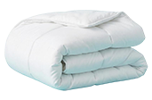 Comforter
